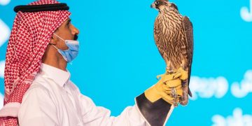 80 الف ريال قيمة صقر مشترك لخمس سعوديين