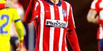 النحلة في يد سيميوني