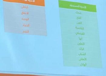 نتائج الكفاءة المالية