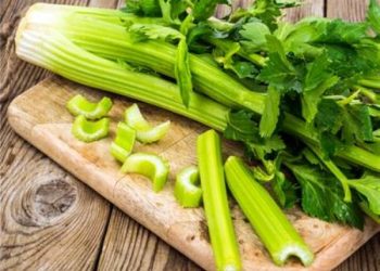 الكرفس كنز الفيتامينات والألياف