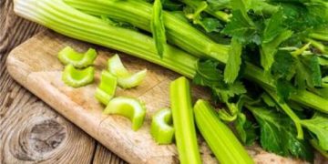 الكرفس كنز الفيتامينات والألياف