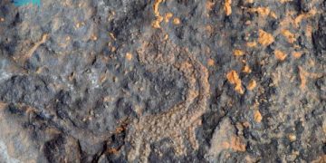 «الفنون الصخرية».. رسومات أثرية وسط الرمال الذهبية في الغضا