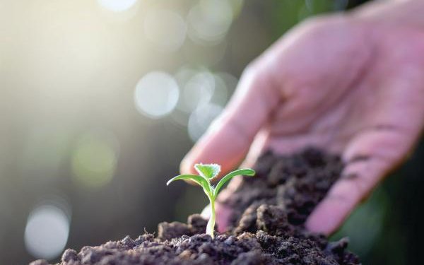 11.45 % نسبة معرفة أسر المملكة بقضايا البيئة