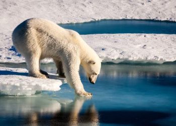 القطب الجنوبي يشهد حرارة أعلى بـ30 درجة من المعدل المعتاد