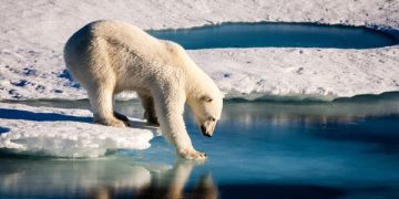 القطب الجنوبي يشهد حرارة أعلى بـ30 درجة من المعدل المعتاد