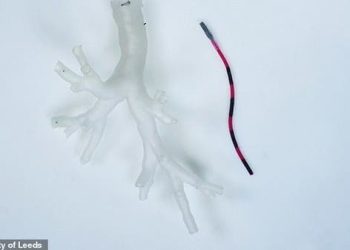 تطور علمي.. روبوت يخترق أنابيب الرئة ويأخذ عينات من الأنسجة