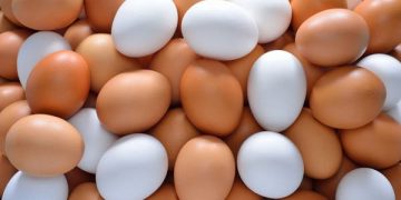 ما الفرق بين البيض الأبيض والبني؟.. جواب ولا أبسط
