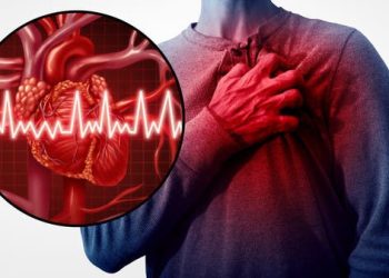 بدقة عالية.. أداة تتنبأ بخطر النوبة قلبية في غضون 5 سنوات