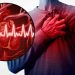 بدقة عالية.. أداة تتنبأ بخطر النوبة قلبية في غضون 5 سنوات