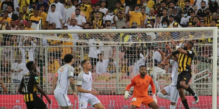 جروهي يغرد وحيدا و5 أيام راحة للنمور