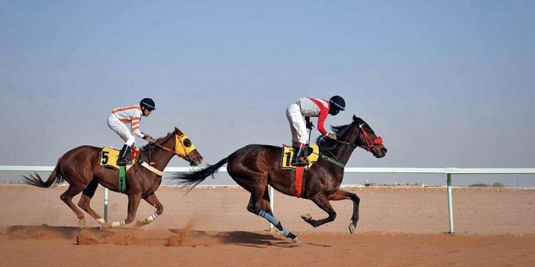 فروسية حائل يختتم بكأس الأمير