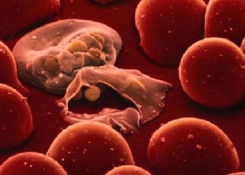 ناموسيات جديدة أكثر فعالية في مكافحة الملاريا