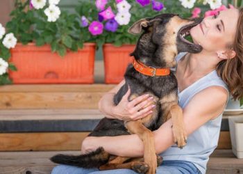 مشاهد صادمة لاعتداء وحشي لكلب على صاحبته