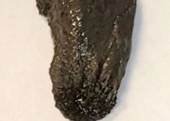 فيديو لا يصدق.. روبوت لزج بخصائص غريبة يدخل أجسادنا