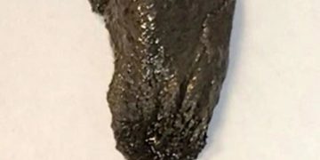 فيديو لا يصدق.. روبوت لزج بخصائص غريبة يدخل أجسادنا