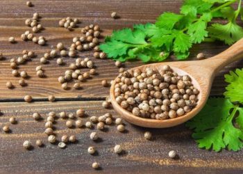 الكزبرة ..
تنظم ضغط الدم