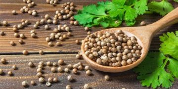 الكزبرة ..
تنظم ضغط الدم