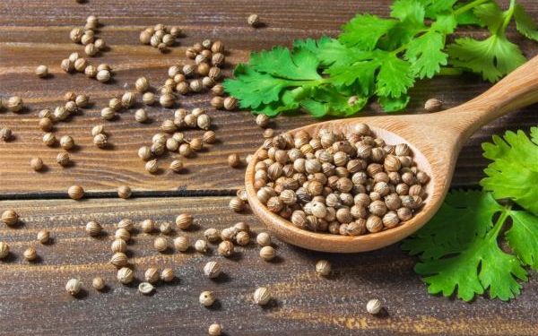 الكزبرة ..
تنظم ضغط الدم