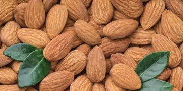 اللوز.. يخفض الكوليسترول الضار بالدم