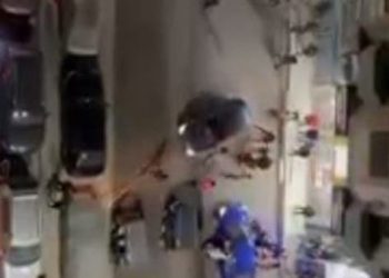 فيديو مرعب.. لمطاردة مثيرة بين لص ومصريين في الجيزة