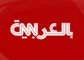4 أضعاف حجم القطط الاعتيادي.. قط ضخم يحب تناول الطعام يصبح نجمًا على "تيك توك" لهذا السبب