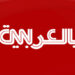 4 أضعاف حجم القطط الاعتيادي.. قط ضخم يحب تناول الطعام يصبح نجمًا على "تيك توك" لهذا السبب
