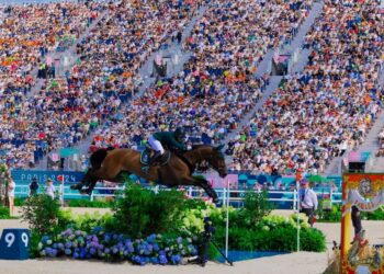 فرسان المملكة لتعويض سقوط الفرق